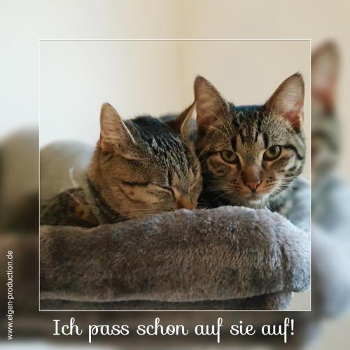 Ich pass schon auf sie auf!