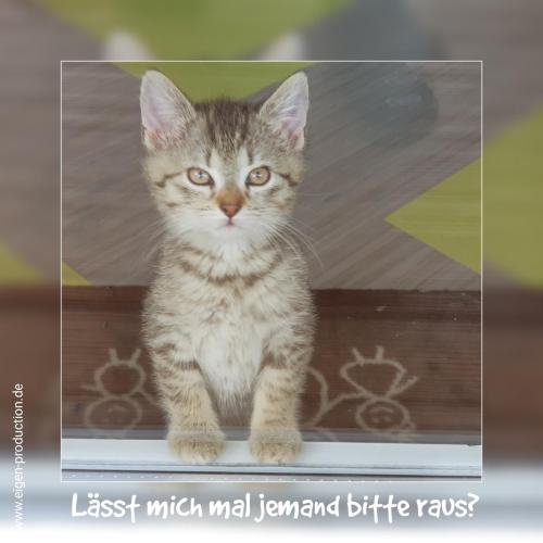 Lässt mich mal jemand bitte raus?